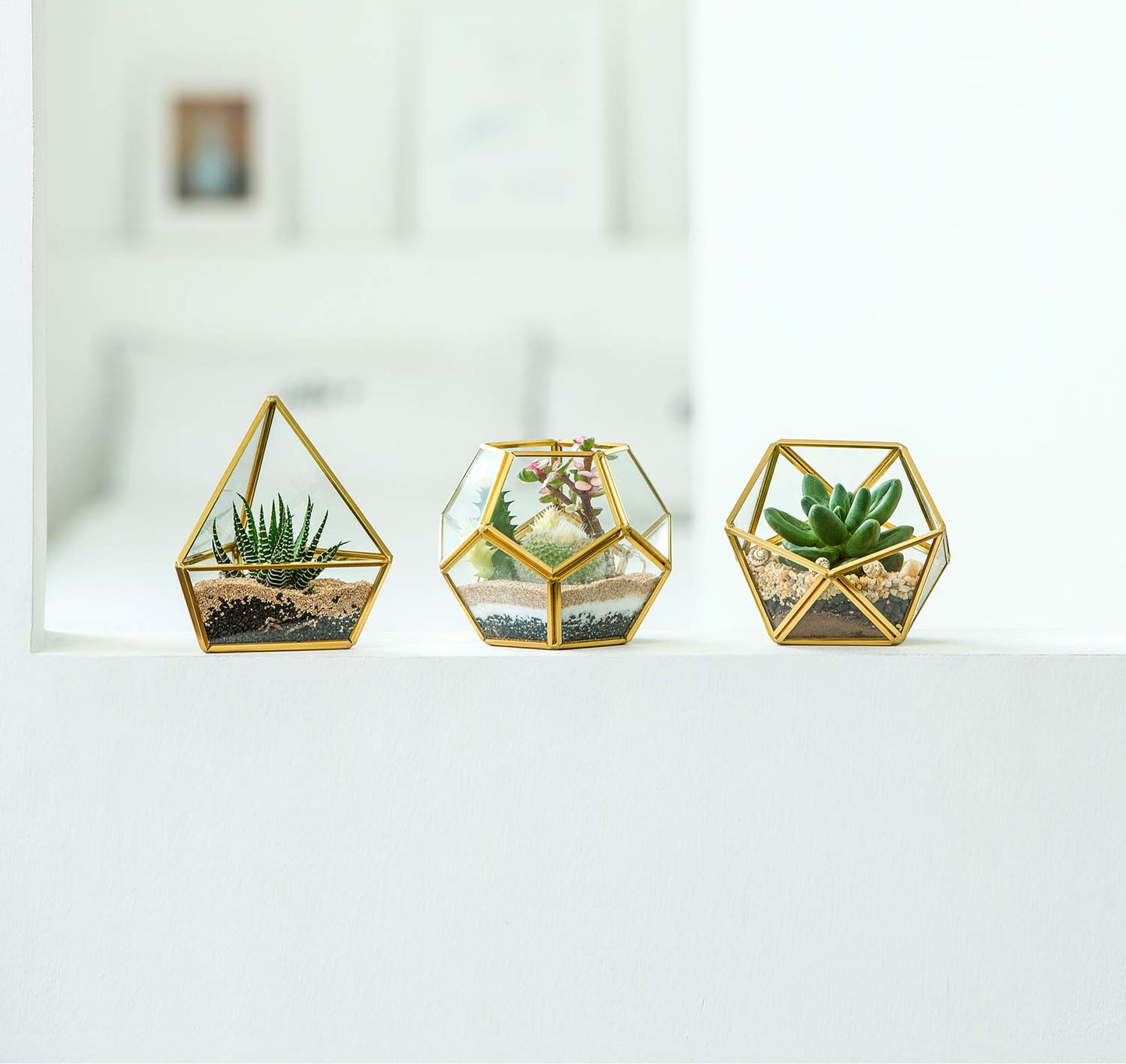 Mkono Artificial Succulent in 3 Pack Mini Glass Geometric Terrarium, Miniature Potted Faux Plant Bookshelf Desk Boho Office Room Decor for Women Girls Dorm Gift Idea, Gold